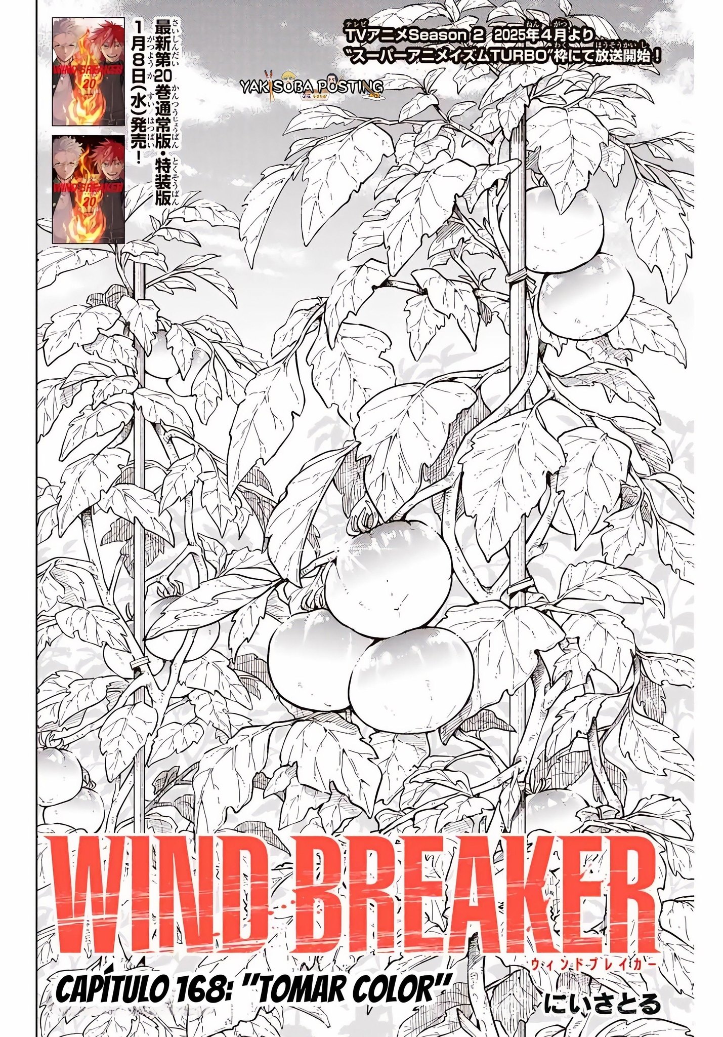 WIND BREAKER Capitulo 168 página 2