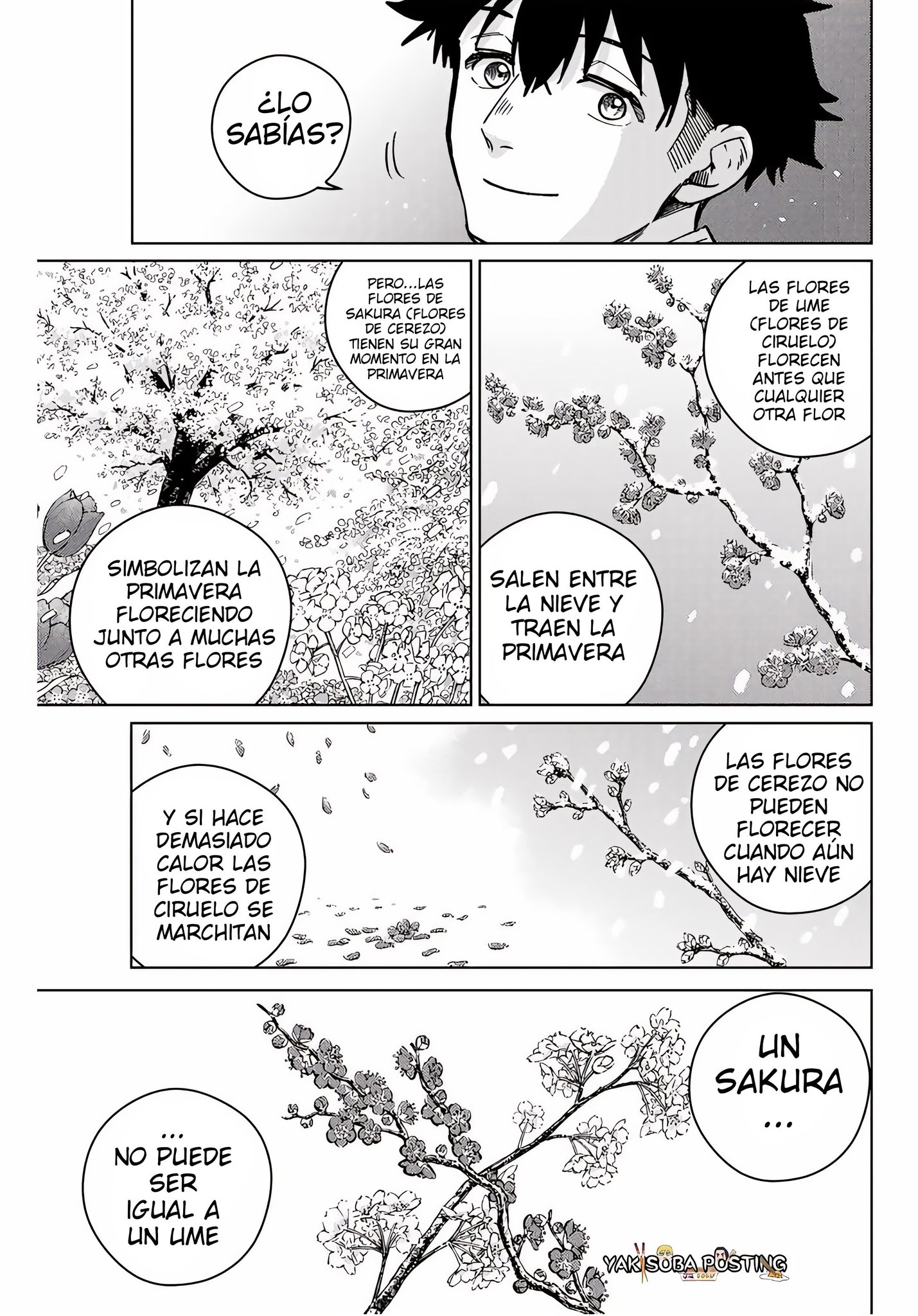 WIND BREAKER Capitulo 181 página 13