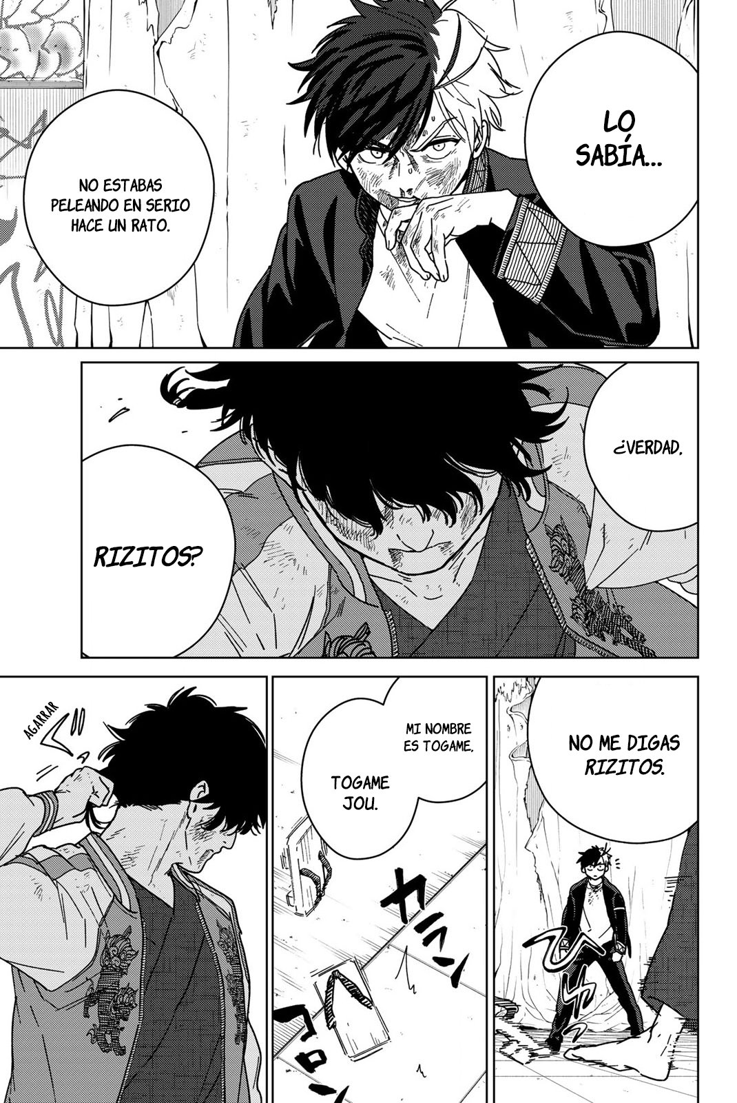 WIND BREAKER Capitulo 20: Despertar página 17