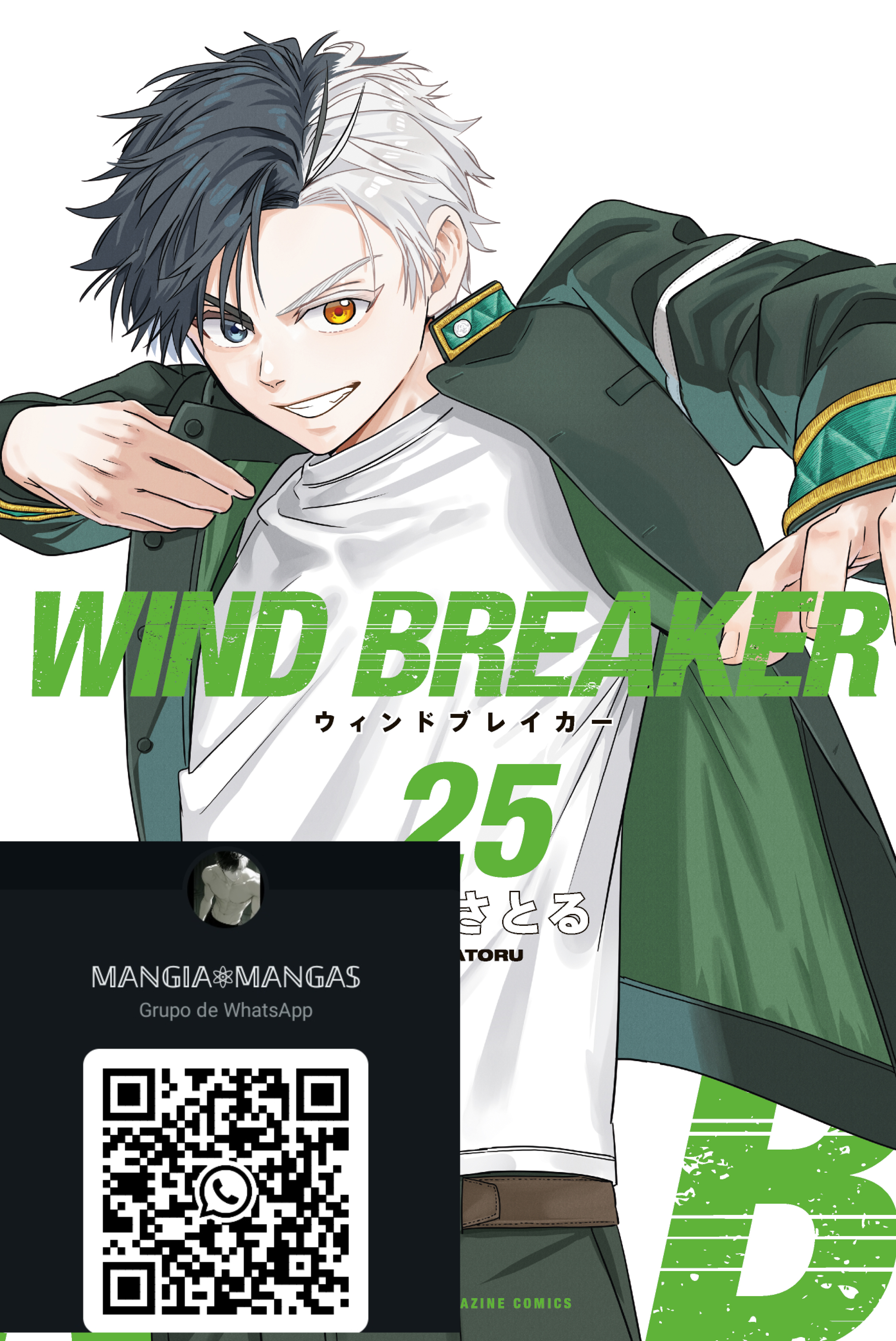 WIND BREAKER Capitulo 211 página 21