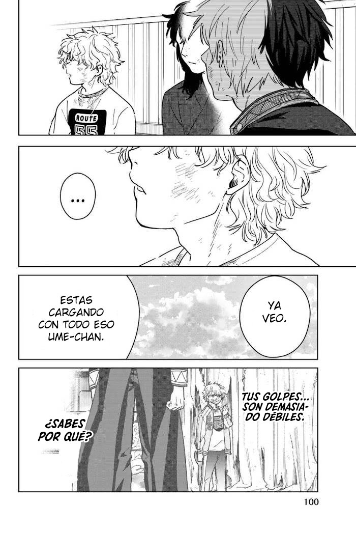 WIND BREAKER Capitulo 28: Los principios de Umemiya página 17