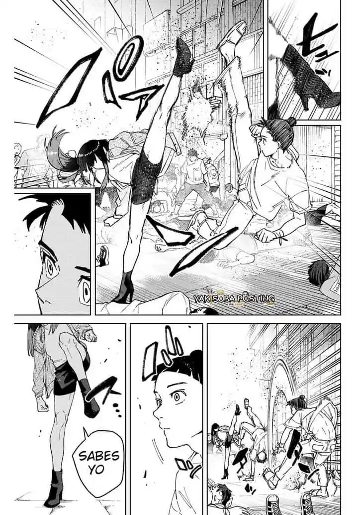 WIND BREAKER Capitulo 79: LA RAZON DE LA FUERZA página 14