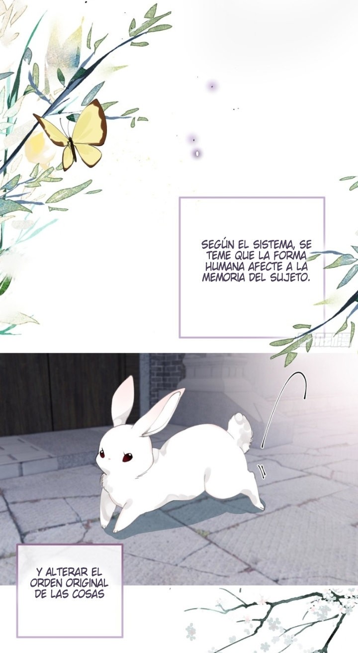 PRINCESS CANNON FODDER Capitulo 26 página 4