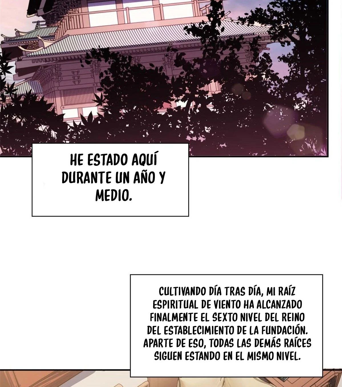 Providencia De Primer Nivel: Cultiva En Silencio Durante Miles de Años Capitulo 13 página 6