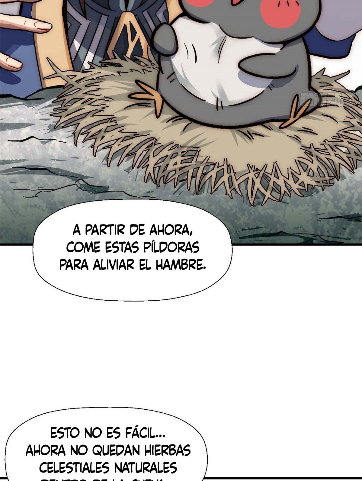 Providencia De Primer Nivel: Cultiva En Silencio Durante Miles de Años Capitulo 40 página 13