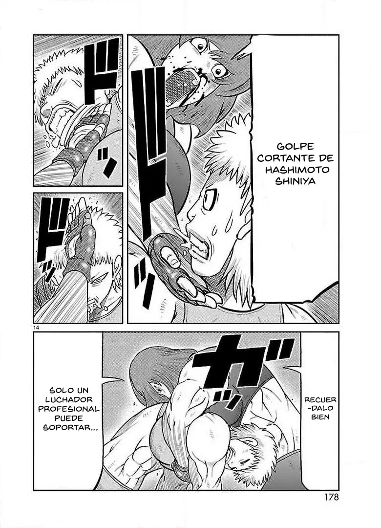 Tōjima Tanzaburō wa Kamen Raidā ni Naritai Capitulo 28 página 13