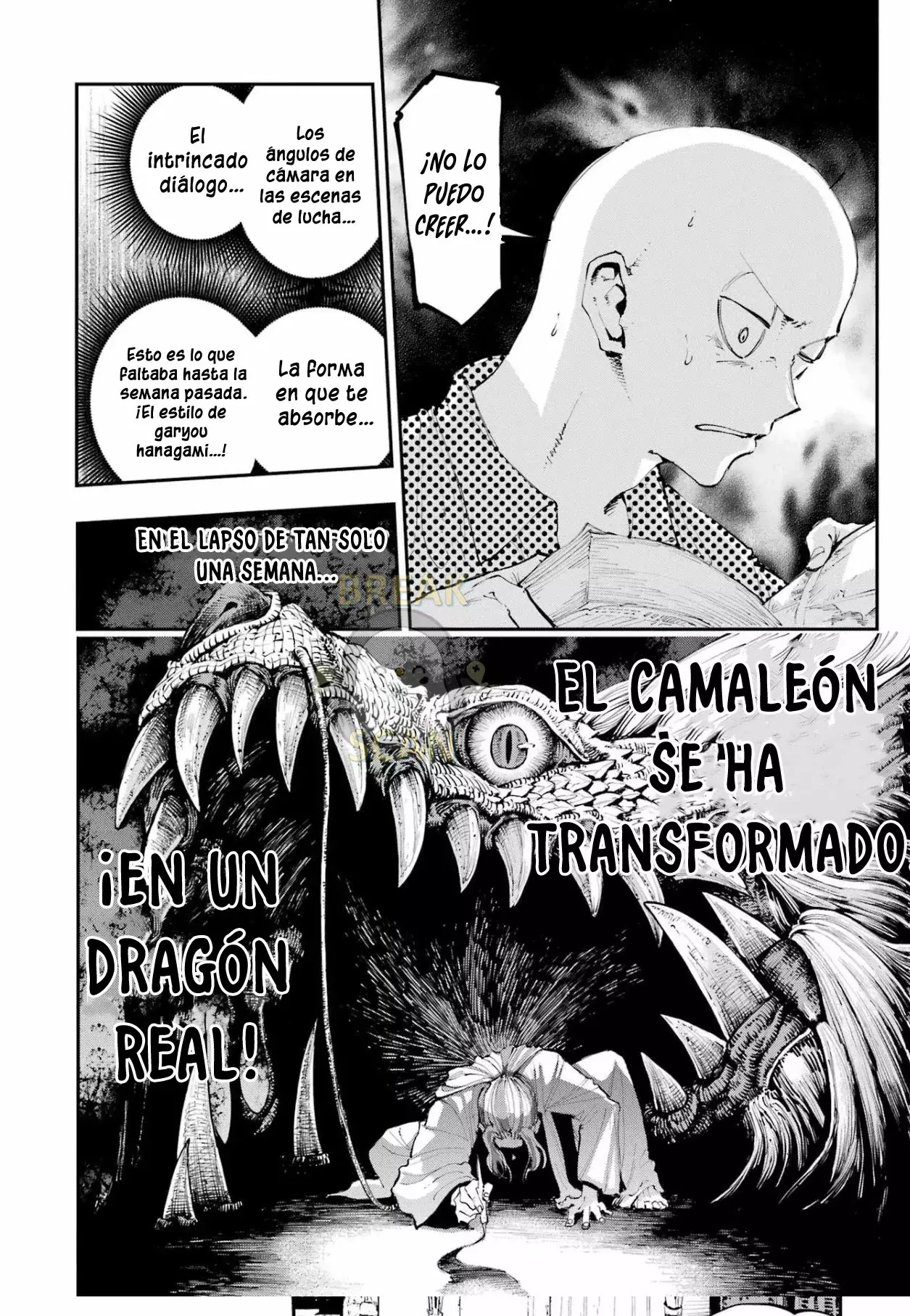 El Camaleón y el Dragón. Capitulo 3 página 2