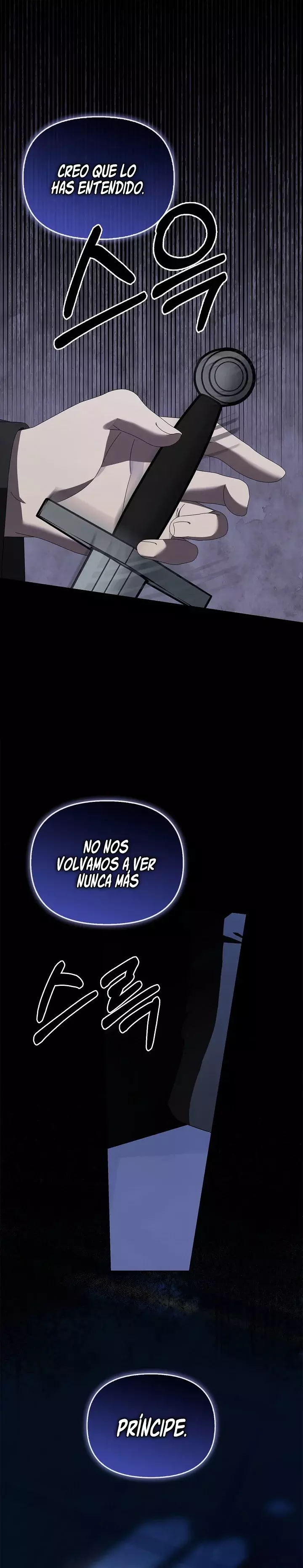 La Bruja Que Olvido Al Pájaro Capitulo 26 página 11