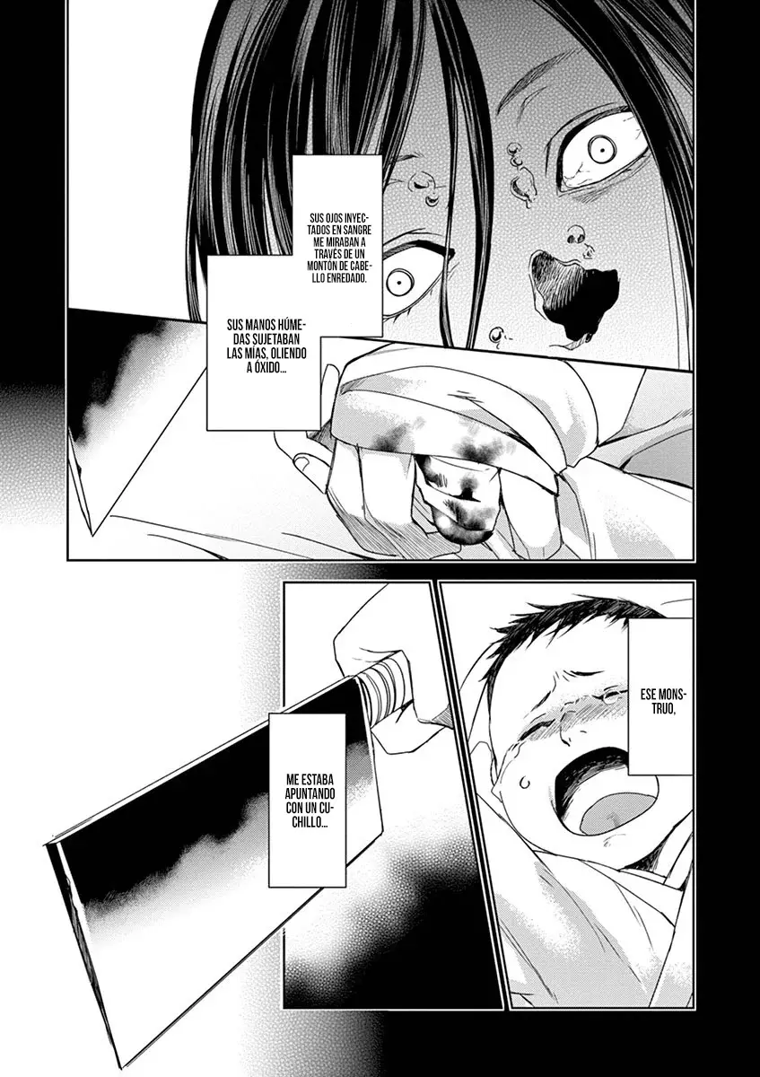 Los Diarios de la Boticaria. – El Diario de los Misterios del Palacio Interior de MaoMao. Capitulo 21: Lakan. página 17