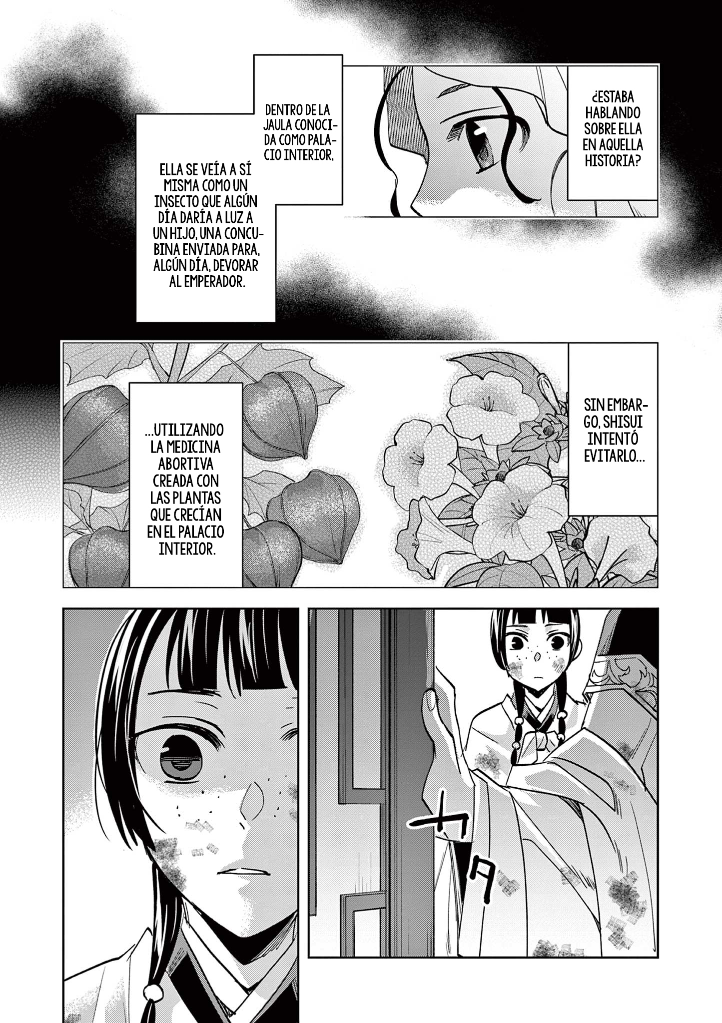 Los Diarios de la Boticaria. – El Diario de los Misterios del Palacio Interior de MaoMao. Capitulo 73 página 19