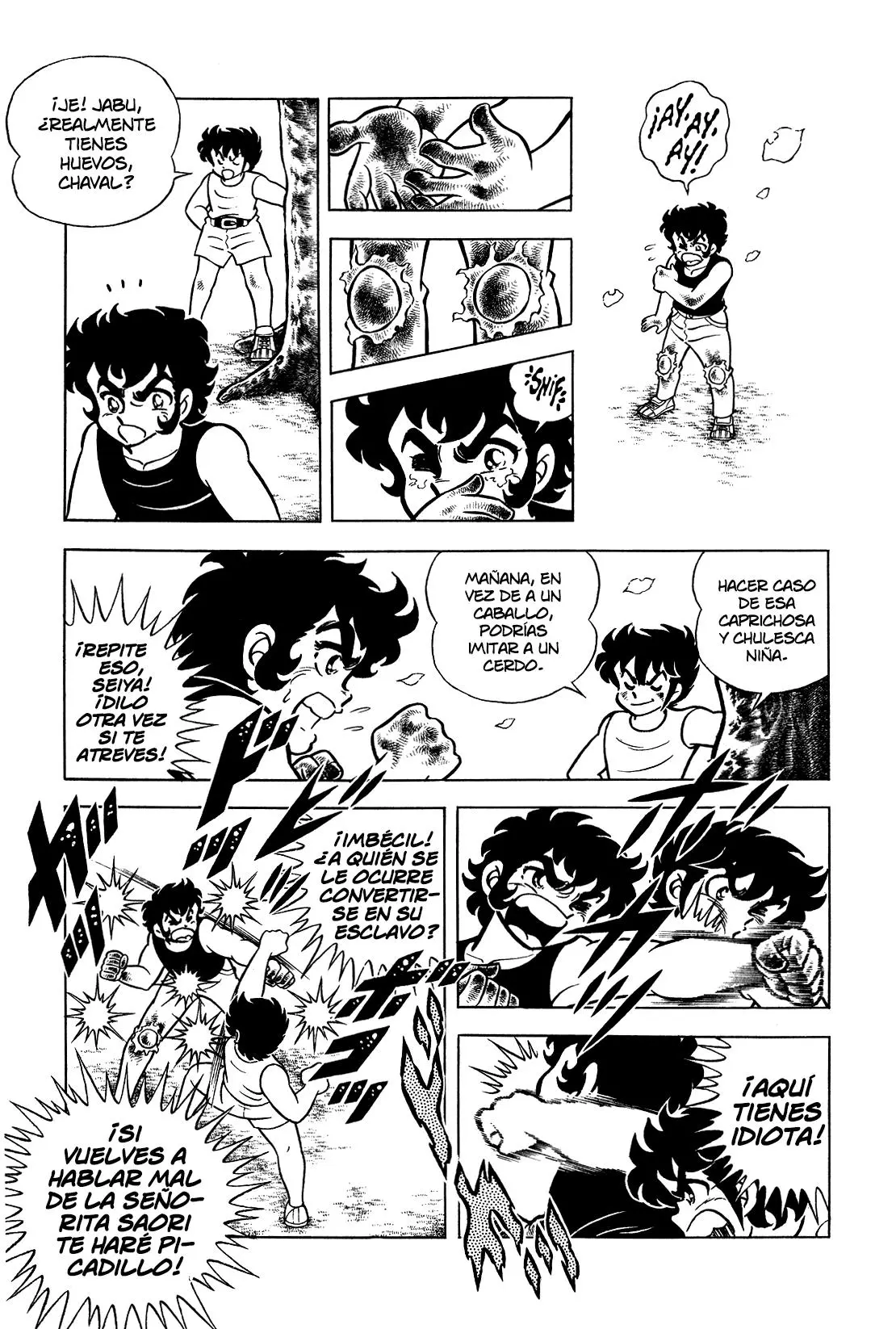 Saint Seiya Kanzenban Capitulo 3 página 27