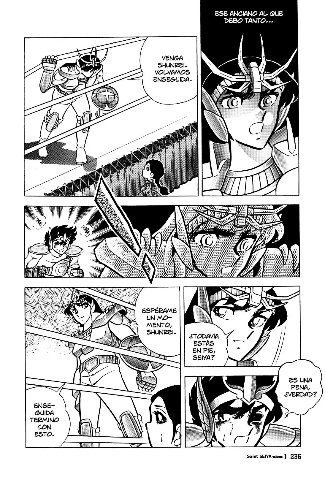 Saint Seiya Kanzenban Capitulo 6 página 11