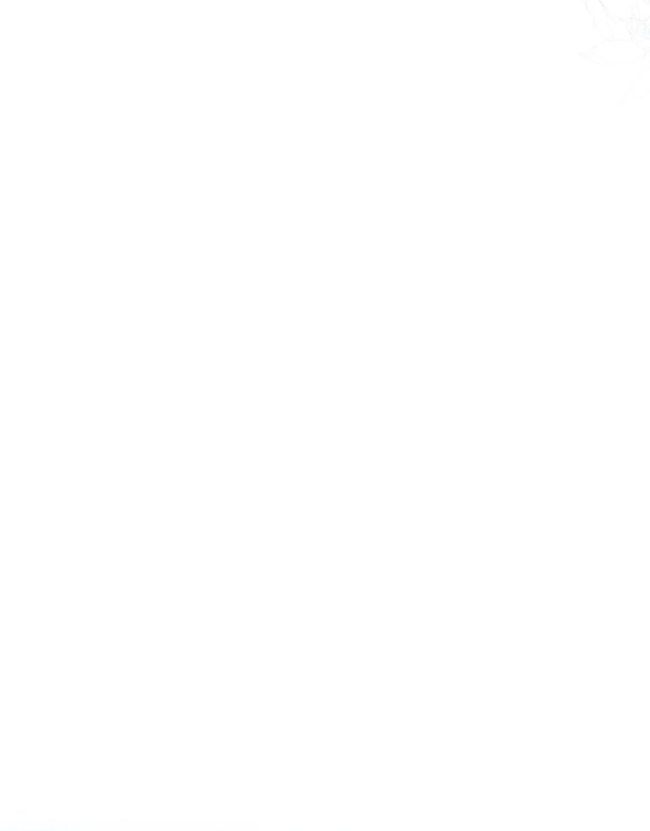 Me Convertí En La Esposa De MI Protagonista Masculino Capitulo 67 página 66