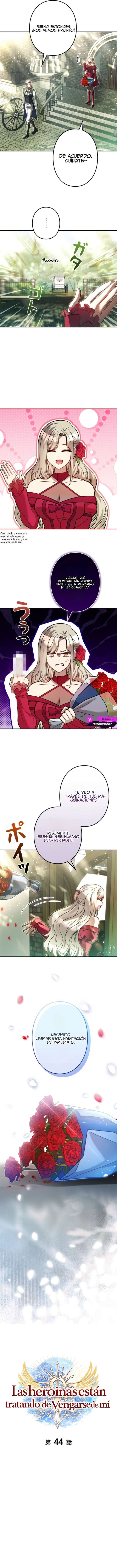 Yo soy un Héroe, pero las Heroínas están Tratando de Matar a Mí Capitulo 44 página 5