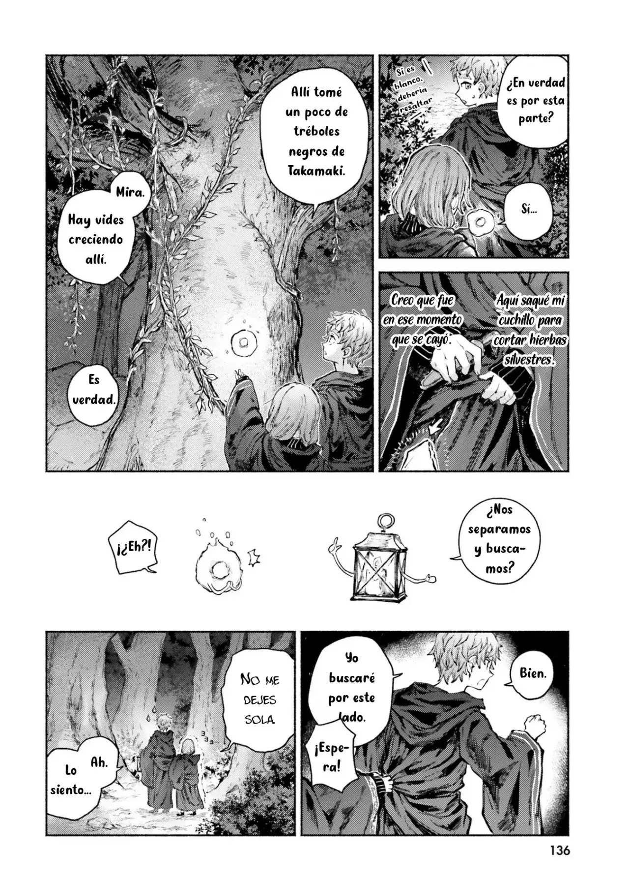 Almark Capitulo 9: La flauta mágica y la sombra página 2