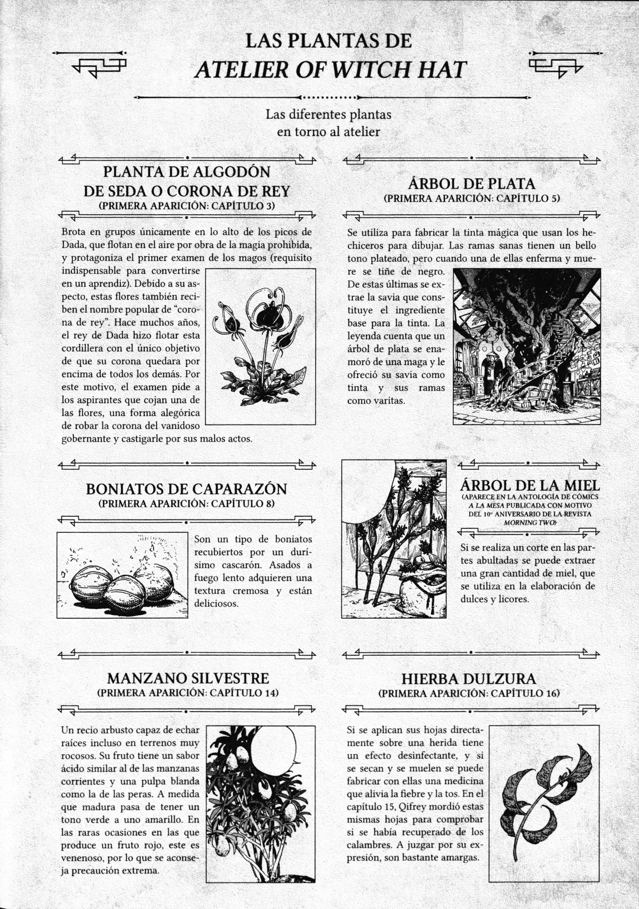 El atelier de sombreros de mago Capitulo 23.5 página 9