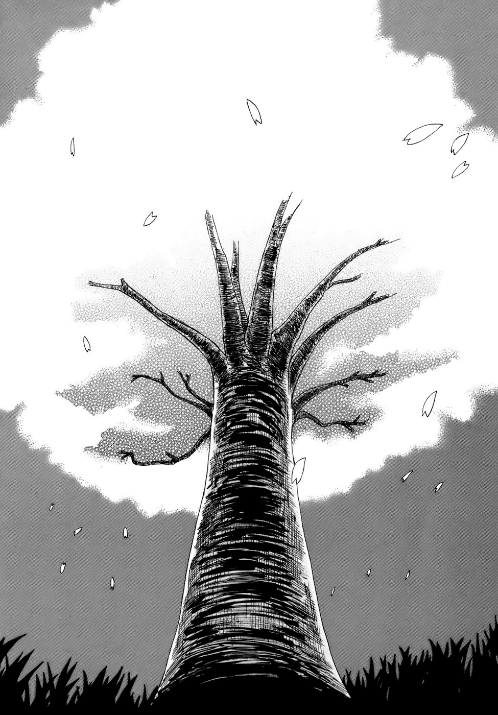 Angel O Nayami Soudanjo Capitulo 8 página 11
