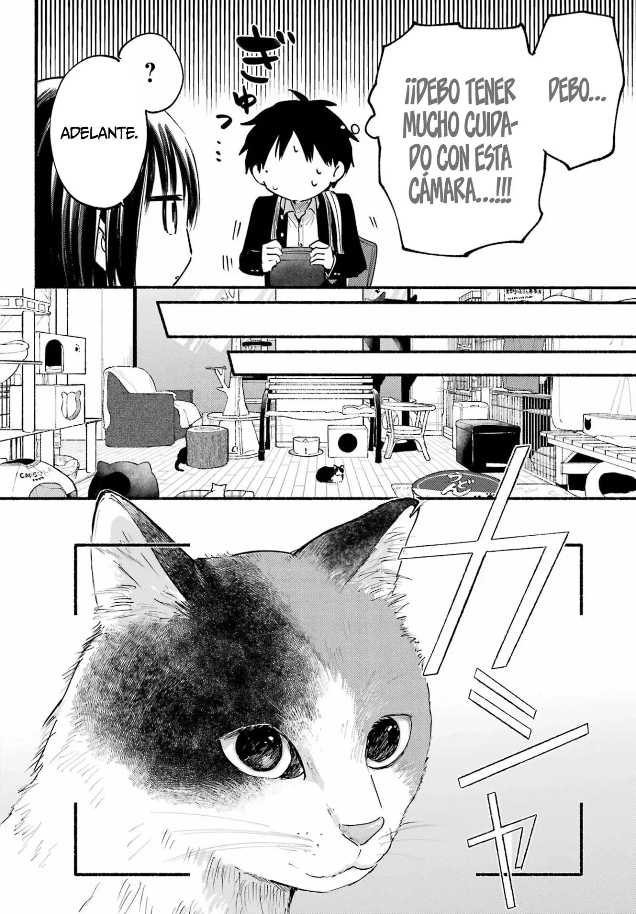 El vecino felino y los no enamorados Capitulo 15 página 9