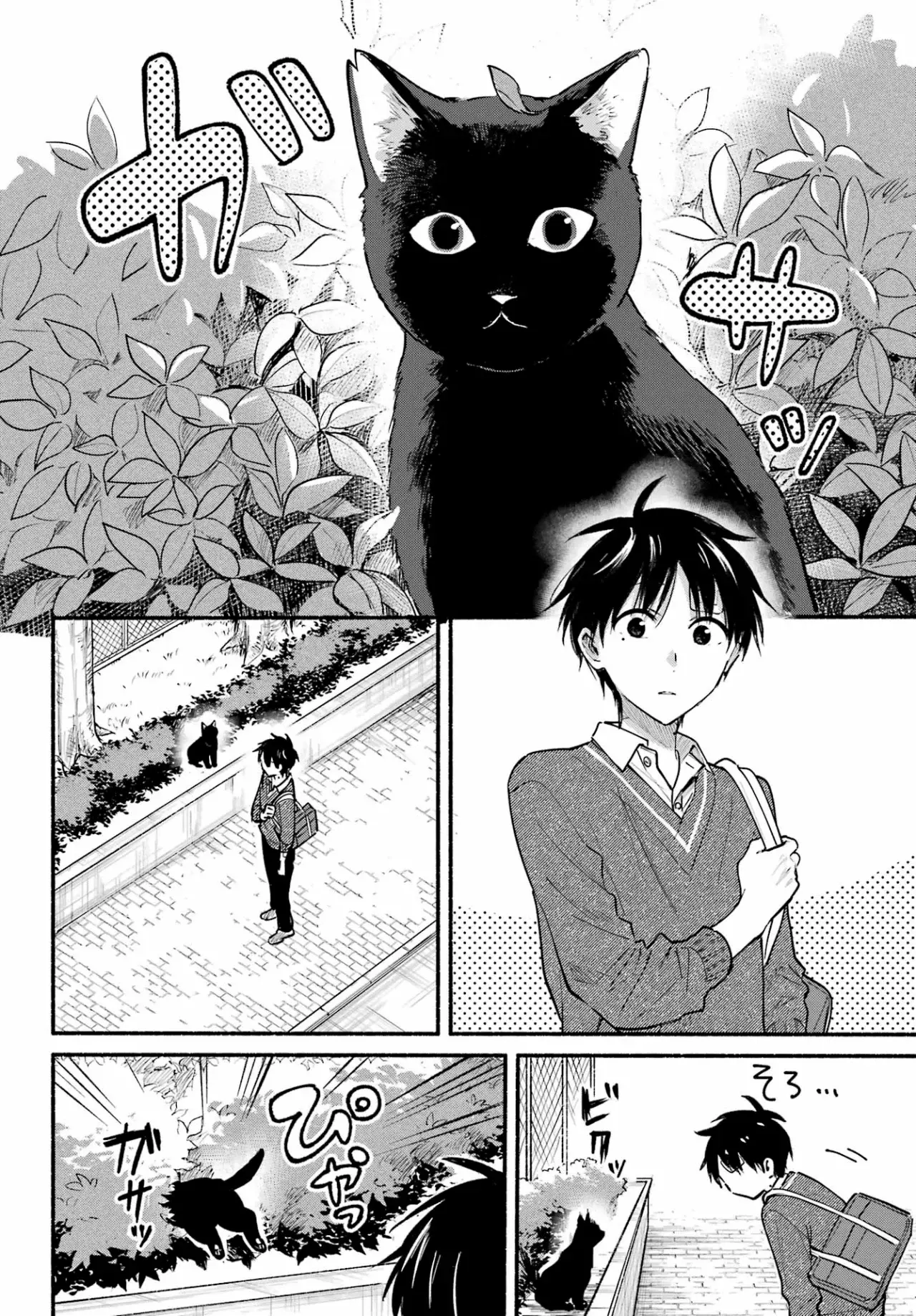 El vecino felino y los no enamorados Capitulo 27 página 5