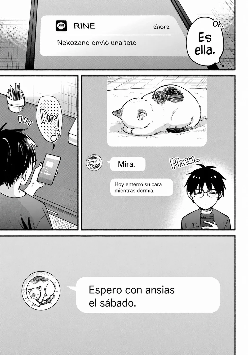 El vecino felino y los no enamorados Capitulo 36 página 16