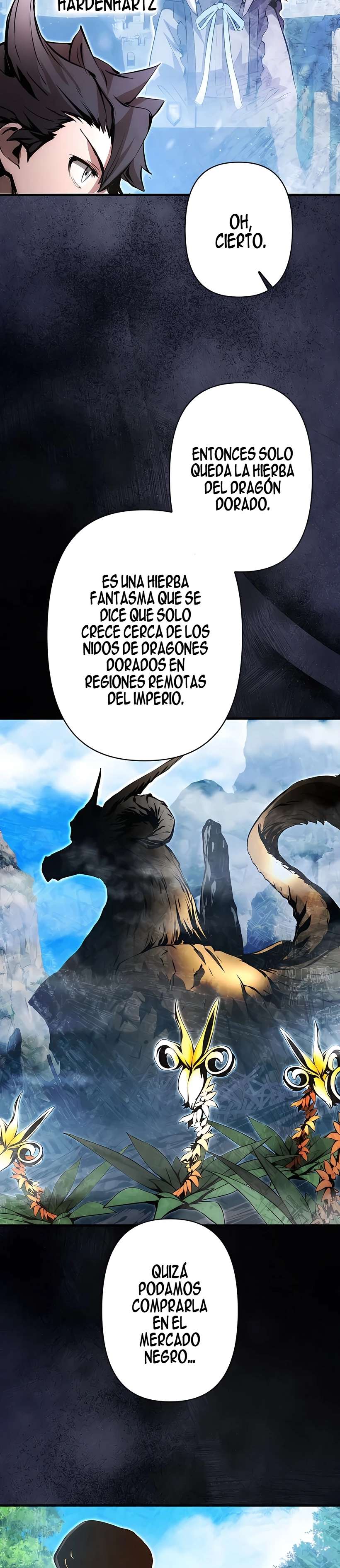 Ladrón de Habilidades de Nivel Roto Capitulo 15 página 37