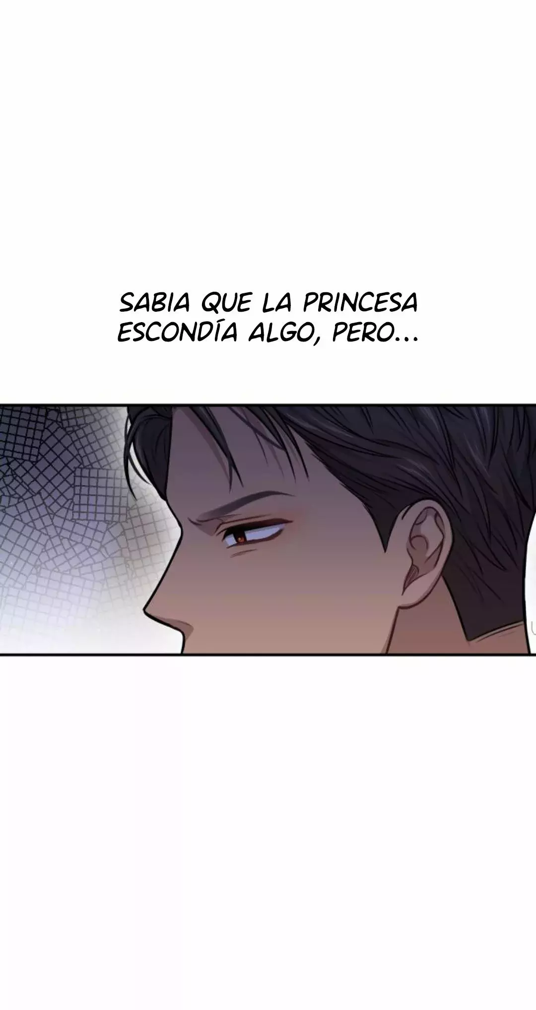 El Dormitorio Secreto De La Princesa Abandonada Capitulo 32 página 94