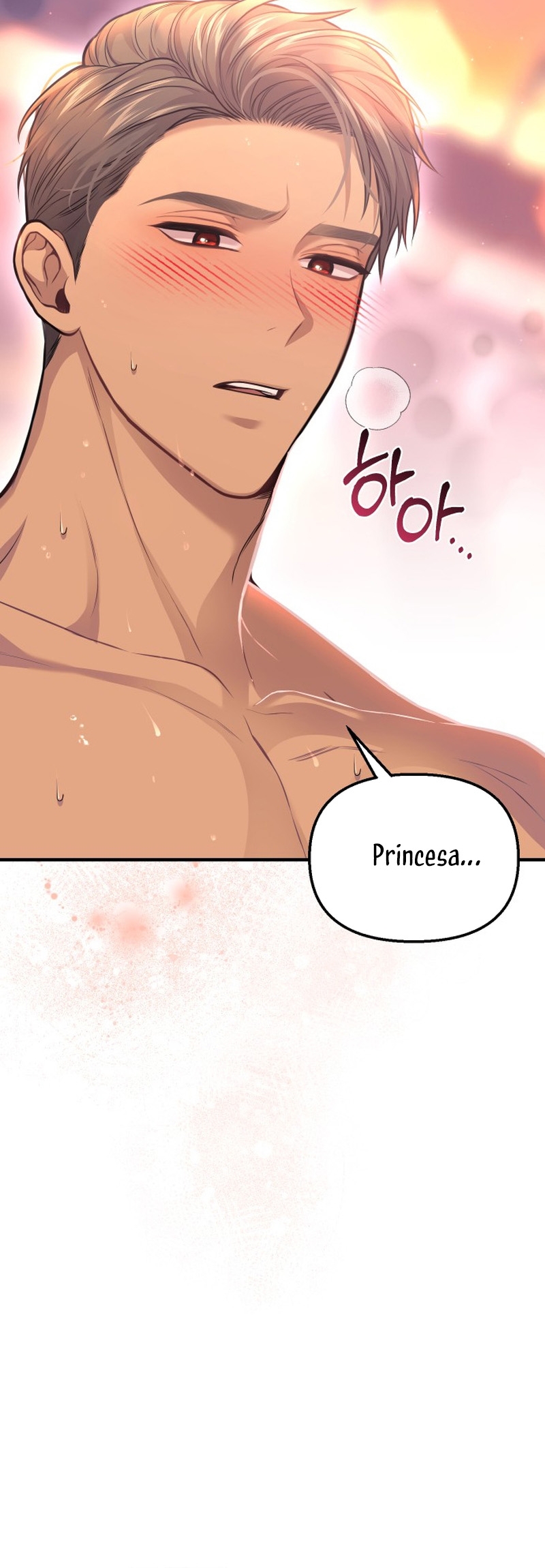 El Dormitorio Secreto De La Princesa Abandonada Capitulo 87 página 25