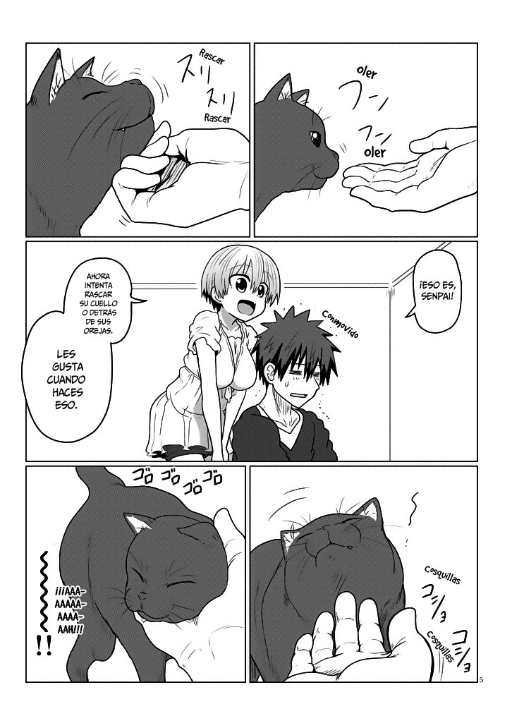 Uzaki-chan wa Asobitai! Capitulo 21 página 6