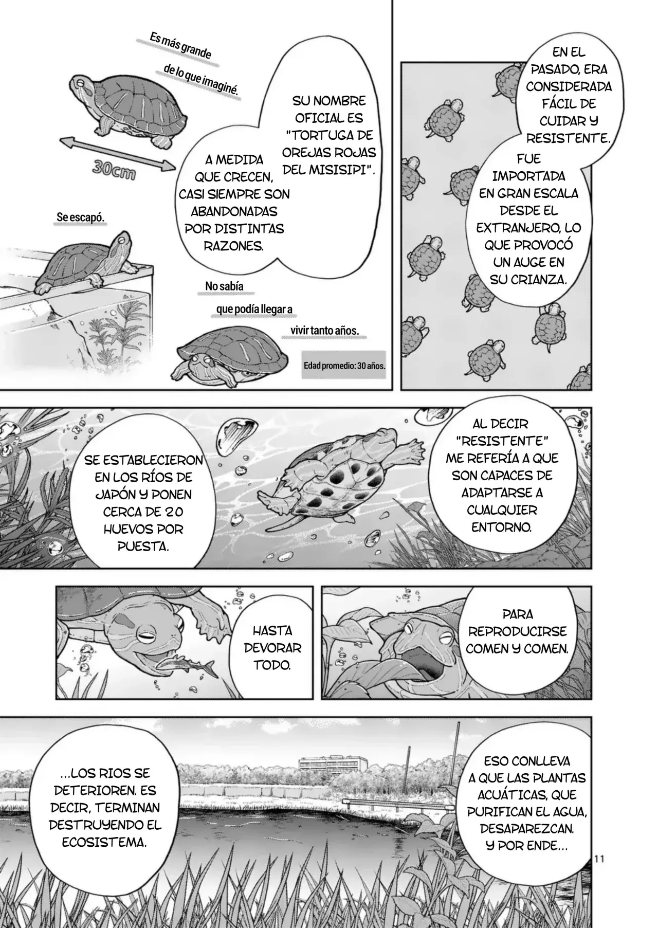 Save Every Little Things Capitulo 19: Activista de protección de tortugas página 11