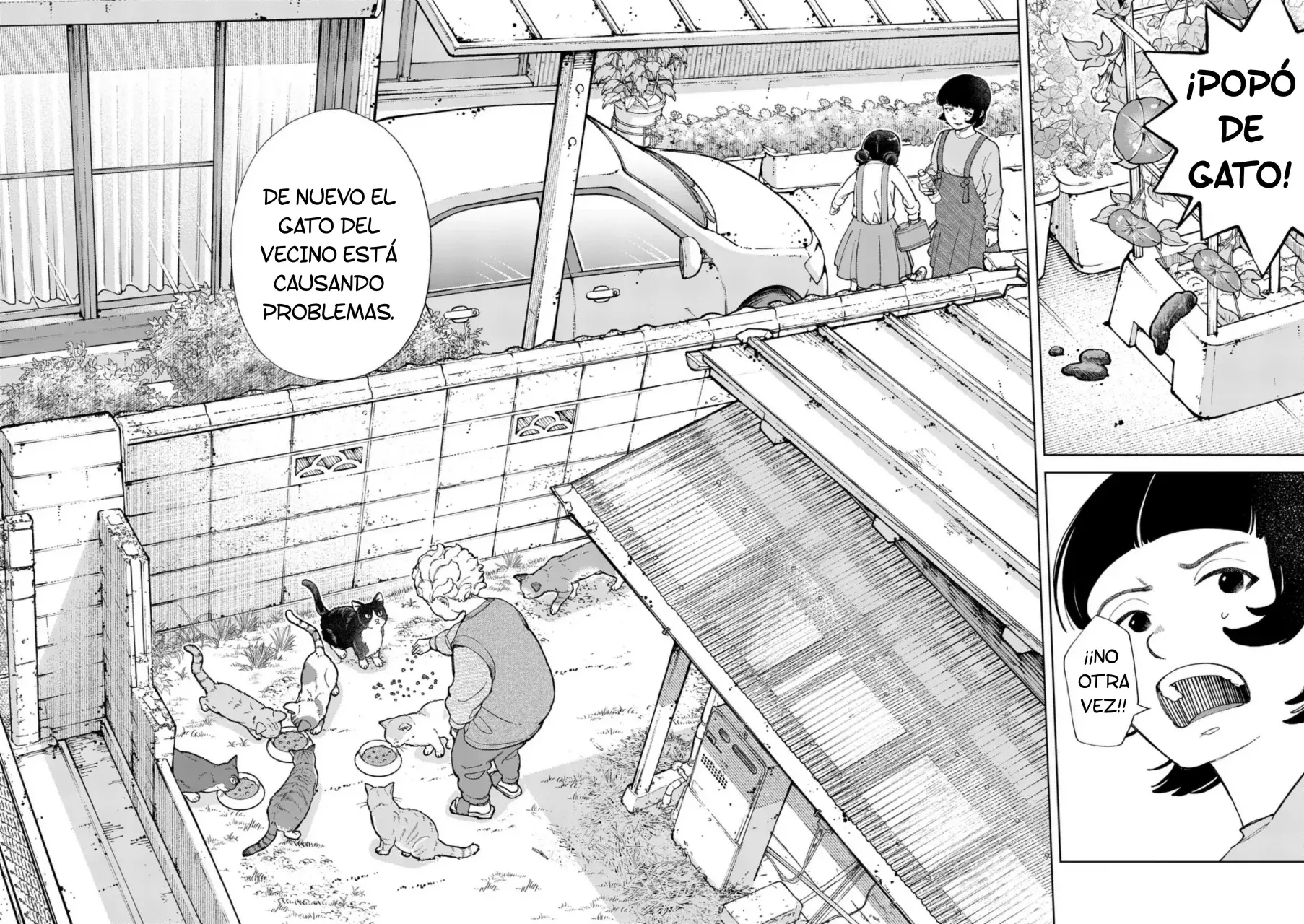 Save Every Little Things Capitulo 28: El problema con los gatos del vecindario página 2