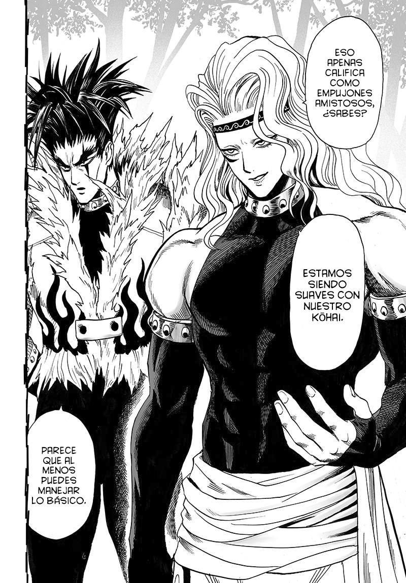 One Punch-Man Capitulo 119: Aquellos que corren en las sombras página 13