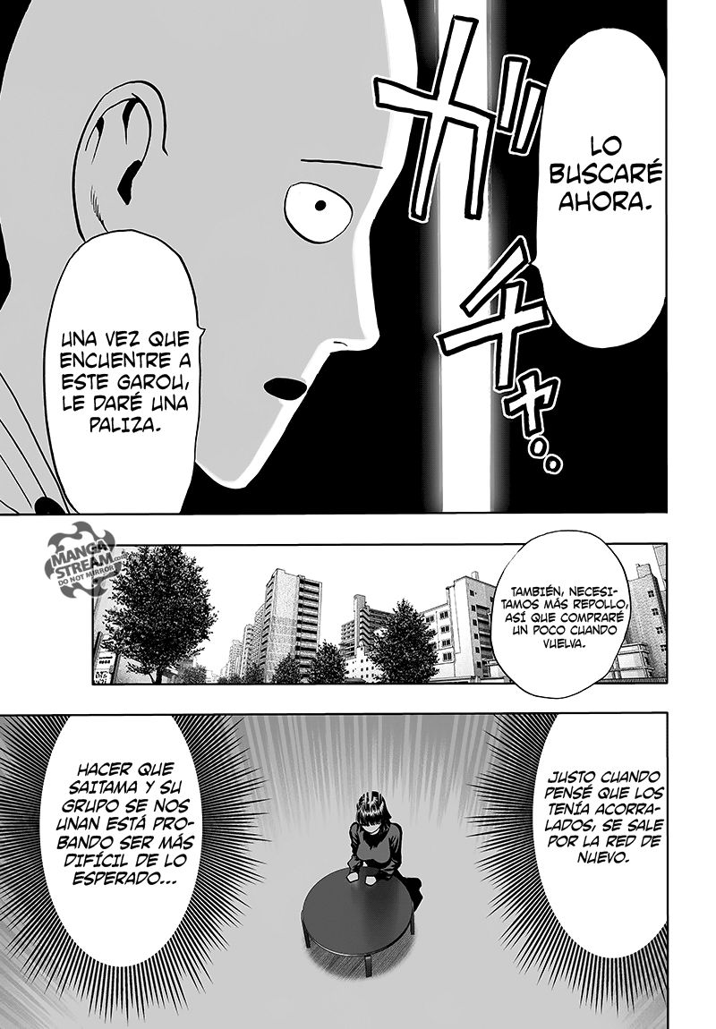 One Punch-Man Capitulo 126: ¿Es porque soy el calvo con capa? página 42