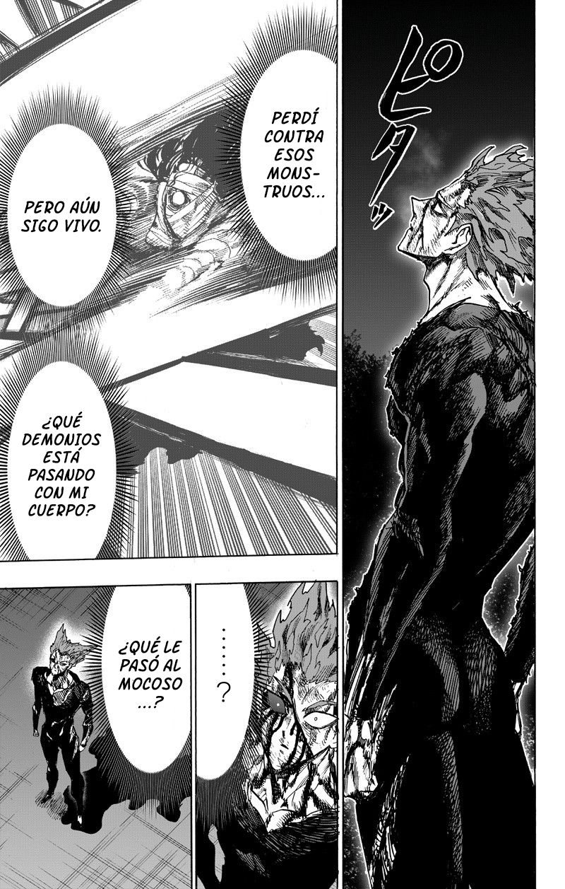 One Punch-Man Capitulo 130: Estofado página 74
