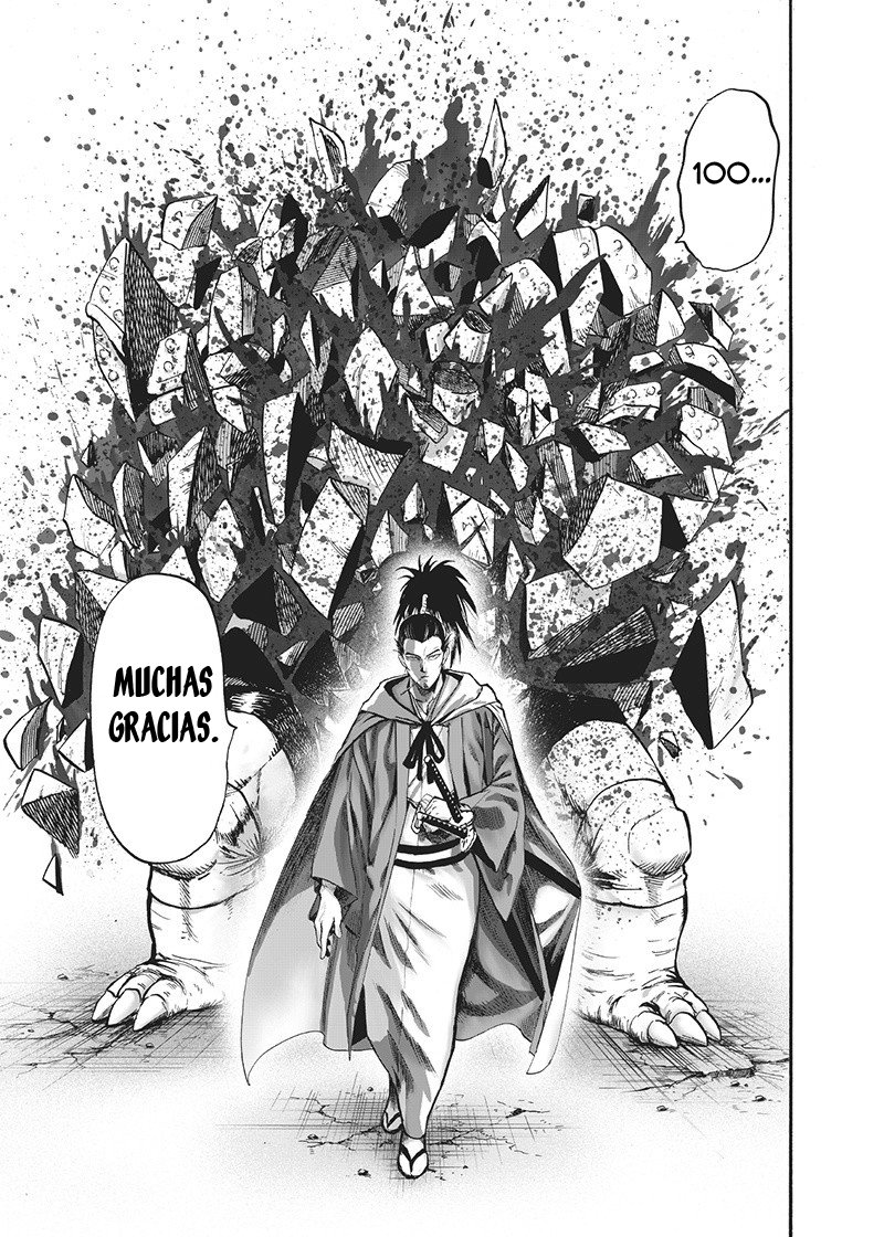 One Punch-Man Capitulo 135.5 página 49