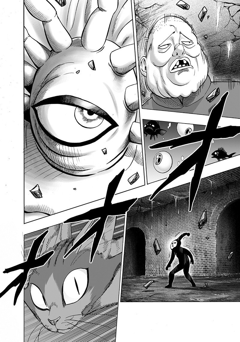 One Punch-Man Capitulo 148: Un Choque de Poder página 24
