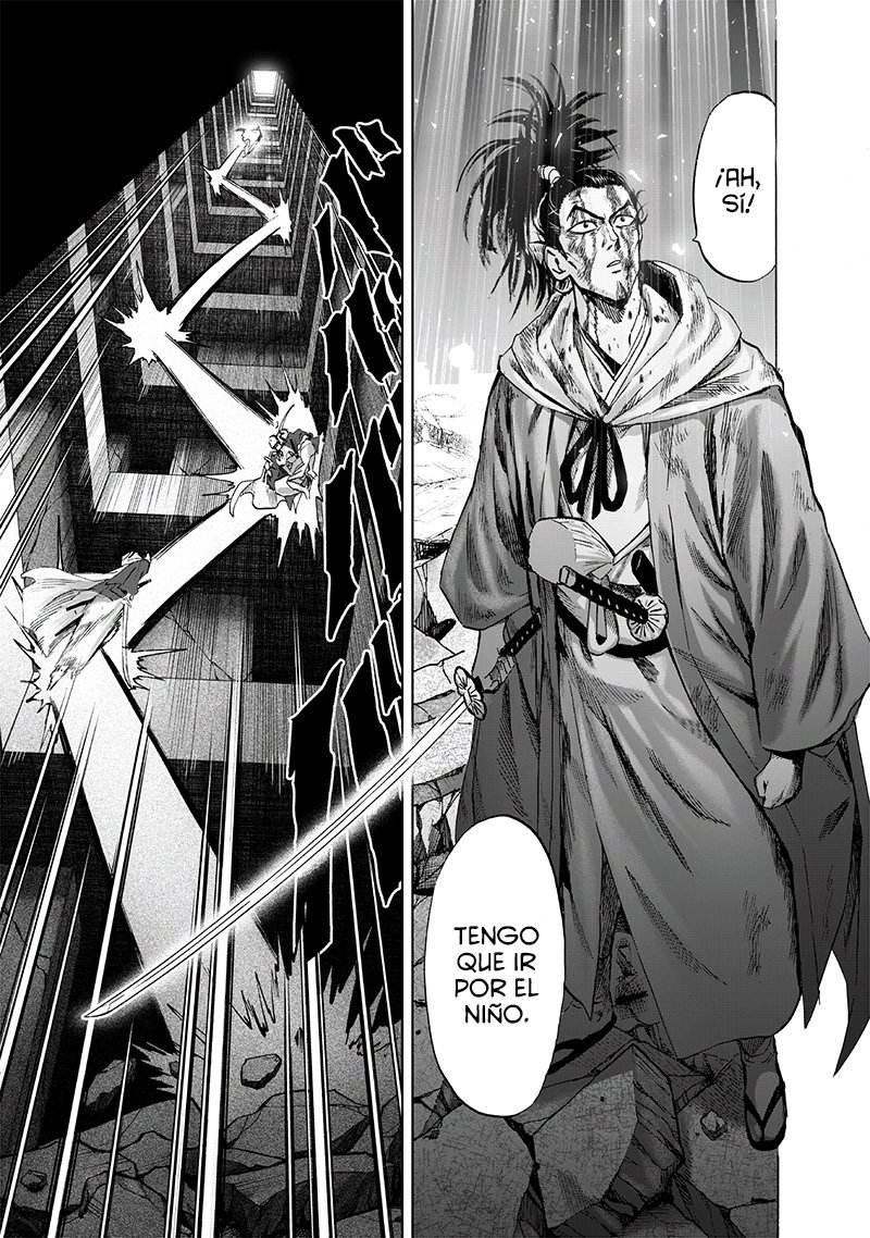 One Punch-Man Capitulo 154: terrible bastardo multiplicador página 13