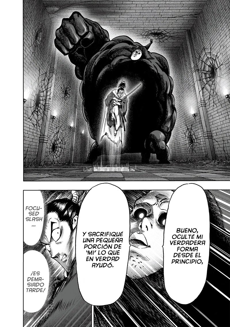 One Punch-Man Capitulo 154: terrible bastardo multiplicador página 14