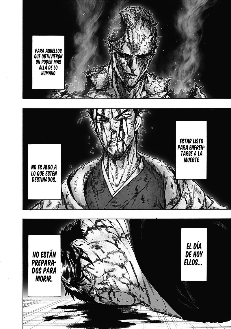 One Punch-Man Capitulo 165: Forma Real página 12