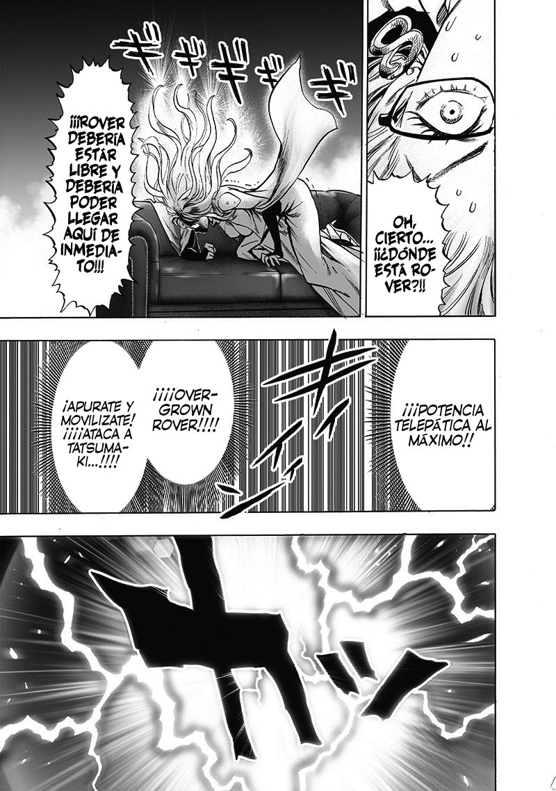 One Punch-Man Capitulo 165: Forma Real página 25