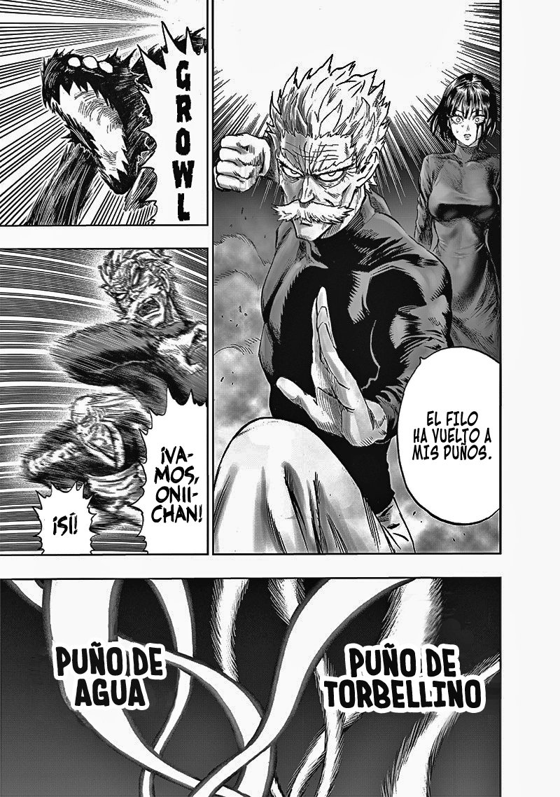 One Punch-Man Capitulo 166: El nuevo grupo Fubuki página 17