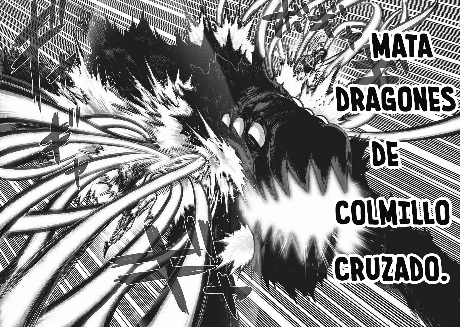 One Punch-Man Capitulo 166: El nuevo grupo Fubuki página 18