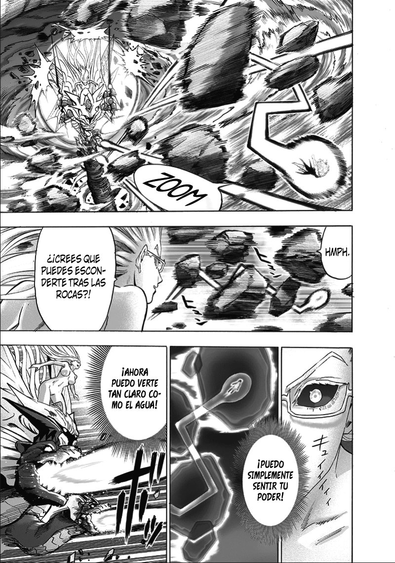 One Punch-Man Capitulo 176: Ser Glorioso página 17