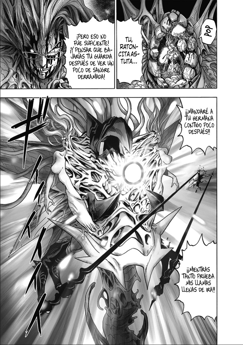 One Punch-Man Capitulo 176: Ser Glorioso página 26