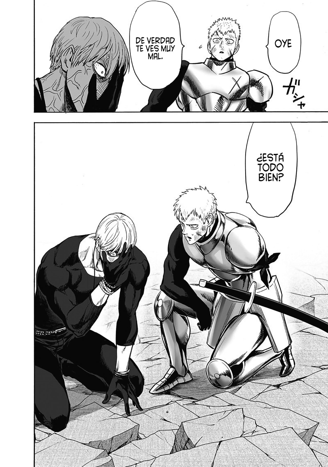 One Punch-Man Capitulo 178: Desgracia y fundamentos página 10
