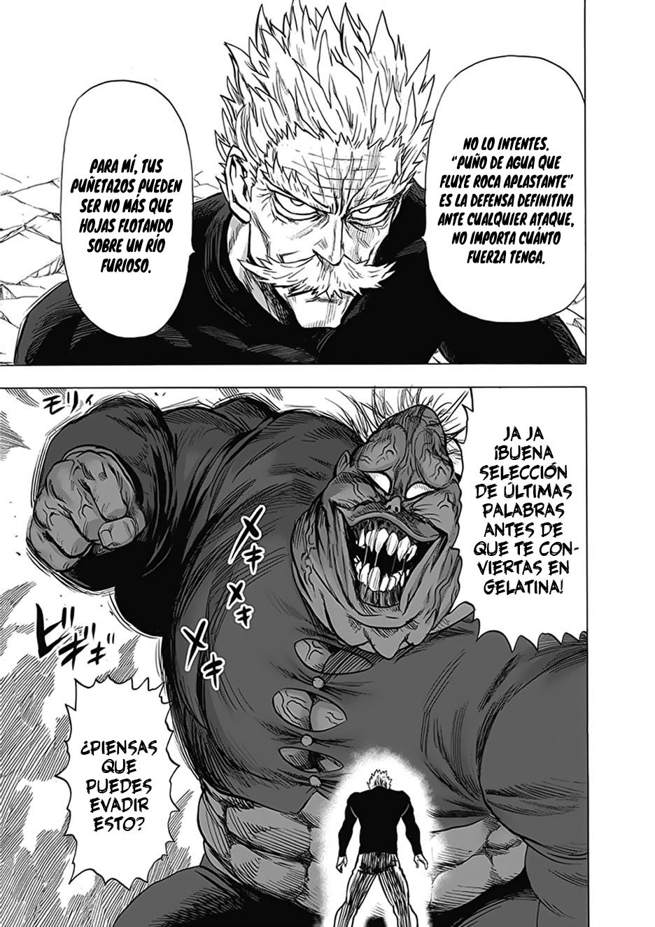 One Punch-Man Capitulo 187: Silver Fang página 17