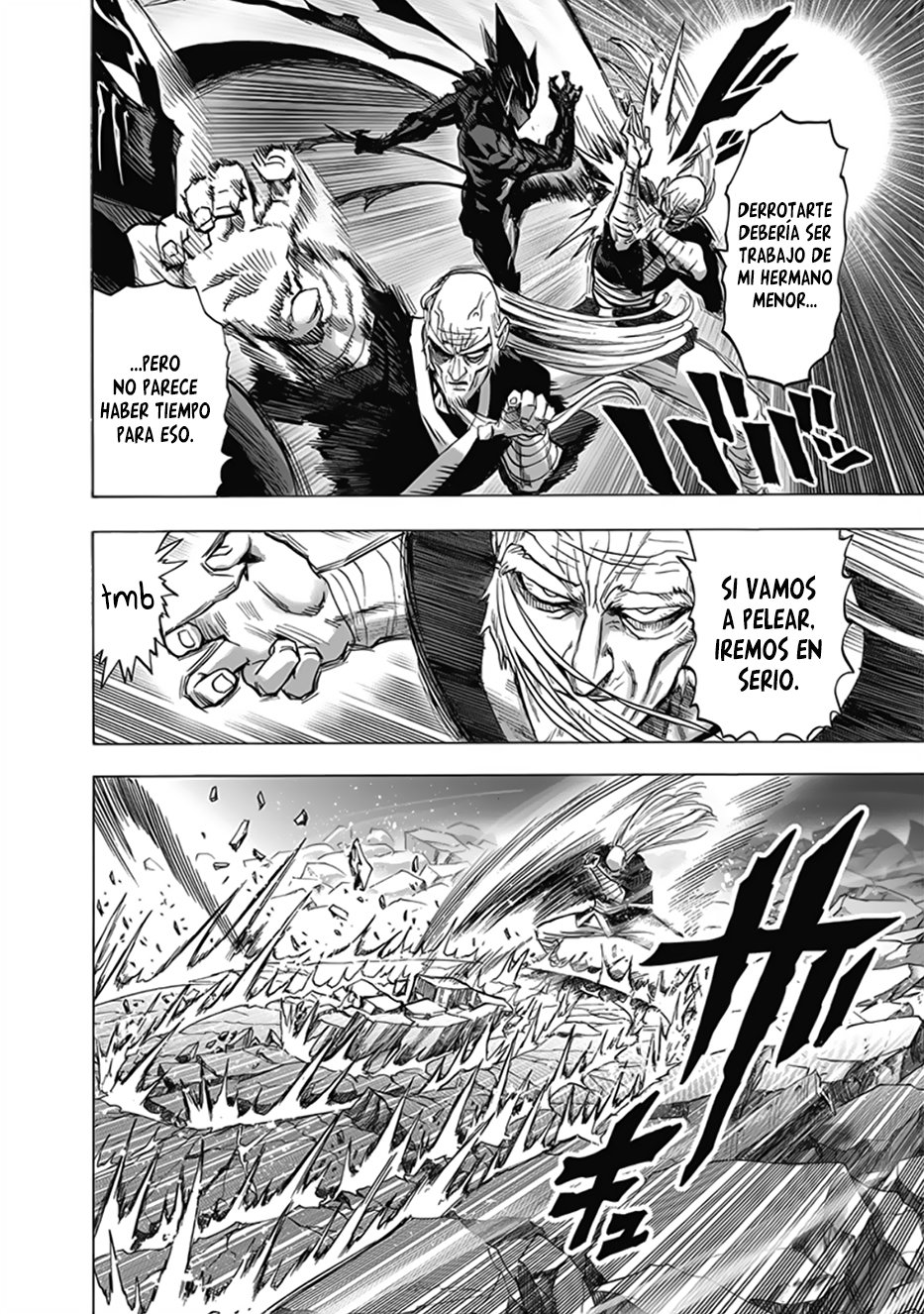 One Punch-Man Capitulo 190: Sustancia Tóxica página 5