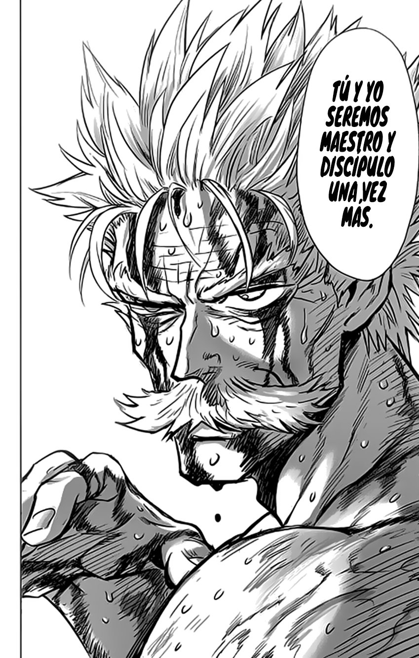 One Punch-Man Capitulo 193 página 29