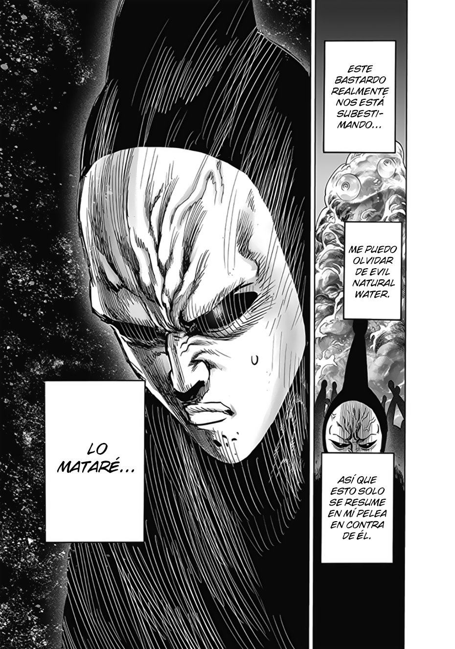 One Punch-Man Capitulo 195: Comprobación página 25