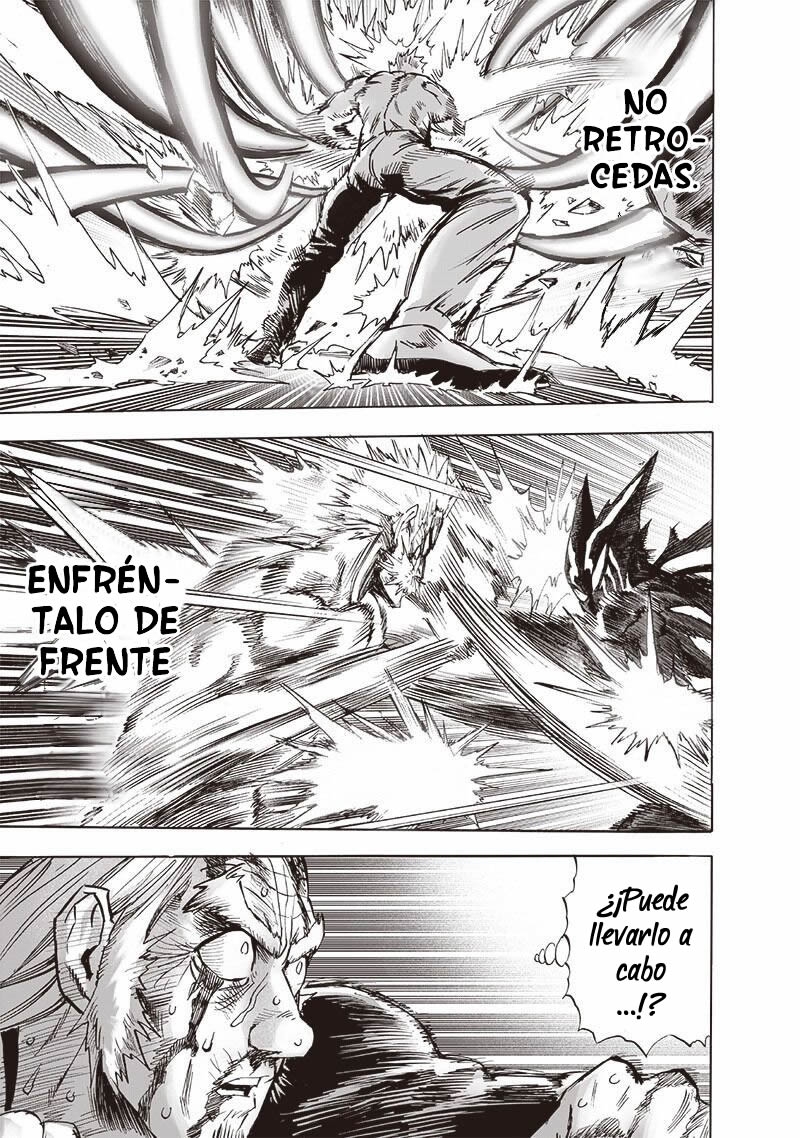 One Punch-Man Capitulo 196 página 17
