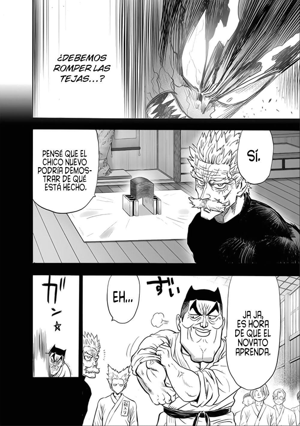 One Punch-Man Capitulo 202: Bendición página 13